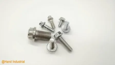 Boulon à bride à 12 points en acier inoxydable SS 304 316, haute précision M5 M6 M8, tête hexagonale